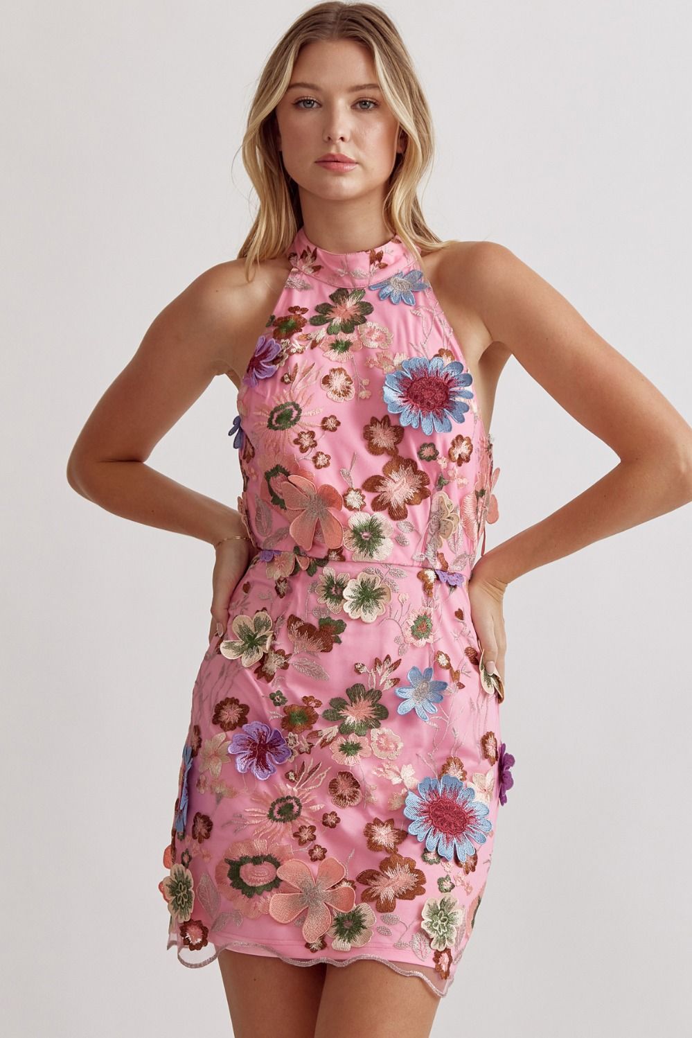 ENTRO INC Women's Dresses Floral Embroidered Mini Dress || David's Clothing