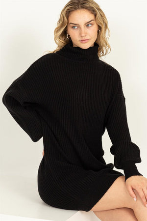 HYFVE INC. Women's Dresses BLACK / S Daily Dream Ribbed Turtleneck Sweater Mini Dress || David's Clothing DZ23G305