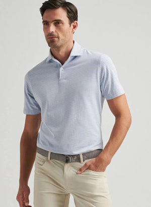 PETER MILLAR Men's Polo Peter Millar Albatross Cotton Blend Piqué Polo || David's Clothing