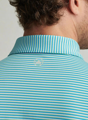 PETER MILLAR Men's Polo Peter Millar Linden Performance Jersey Polo || David's Clothing