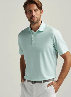 PETER MILLAR Men's Polo Peter Millar Orbit Performance Jersey Polo || David's Clothing