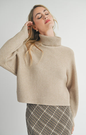 SADIE AND SAGE Women's Sweaters Sadie And Sage Anya Turtleneck Dolman Sleeve Sweater || David's Clothing 