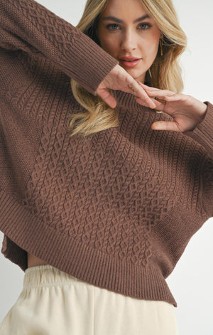 SADIE AND SAGE Women's Sweaters Sadie And Sage Liss Turtleneck Sweater Brown || David's Clothing