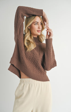 SADIE AND SAGE Women's Sweaters Sadie And Sage Liss Turtleneck Sweater Brown || David's Clothing