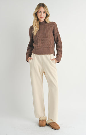 SADIE AND SAGE Women's Sweaters Sadie And Sage Liss Turtleneck Sweater Brown || David's Clothing