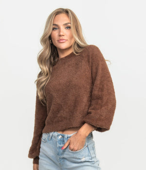 SOUTHERN SHIRT CO. Women's Sweaters BROWN / XS Southern Shirt Cropped Feather Knit Sweater || David's Clothing 2C053-1554