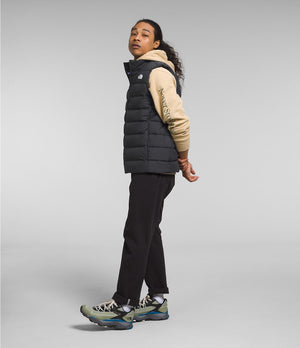 THE NORTH FACE Men's Outerwear North Face Men’s Aconcagua 3 Vest || David's Clothing