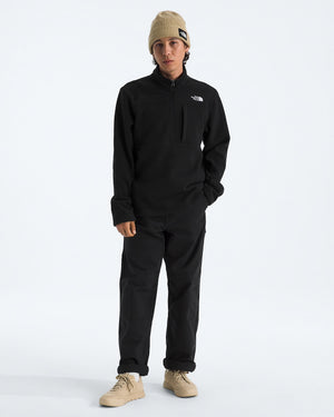 THE NORTH FACE Mens Jackets North Face Men’s Gordon Lyons ¼-Zip