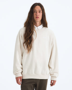 THE NORTH FACE Mens Jackets WHITE DUNE / S North Face Men’s Evolution Simple Dome Oversize Crew NF0A8FKRQLI