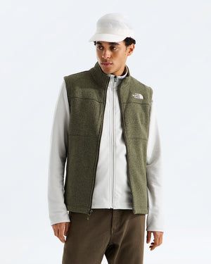 THE NORTH FACE Women Jackets NEW TAUPE GREEN HEATHER / S North Face Men’s Gordon Lyons Vest NF0A8EX07D0